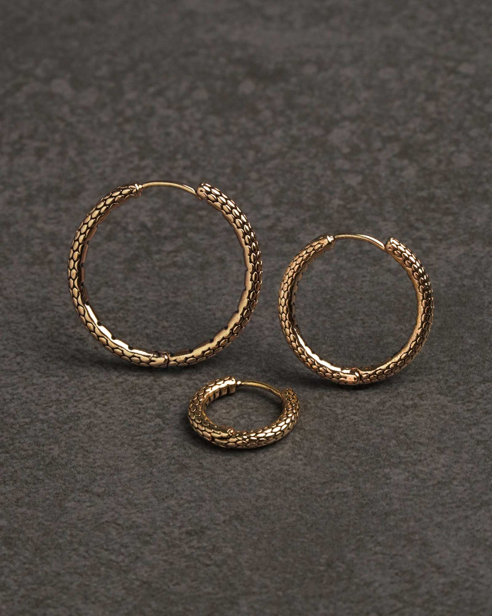 Serpent Hoop Earrings - Earrings - Ask and Embla