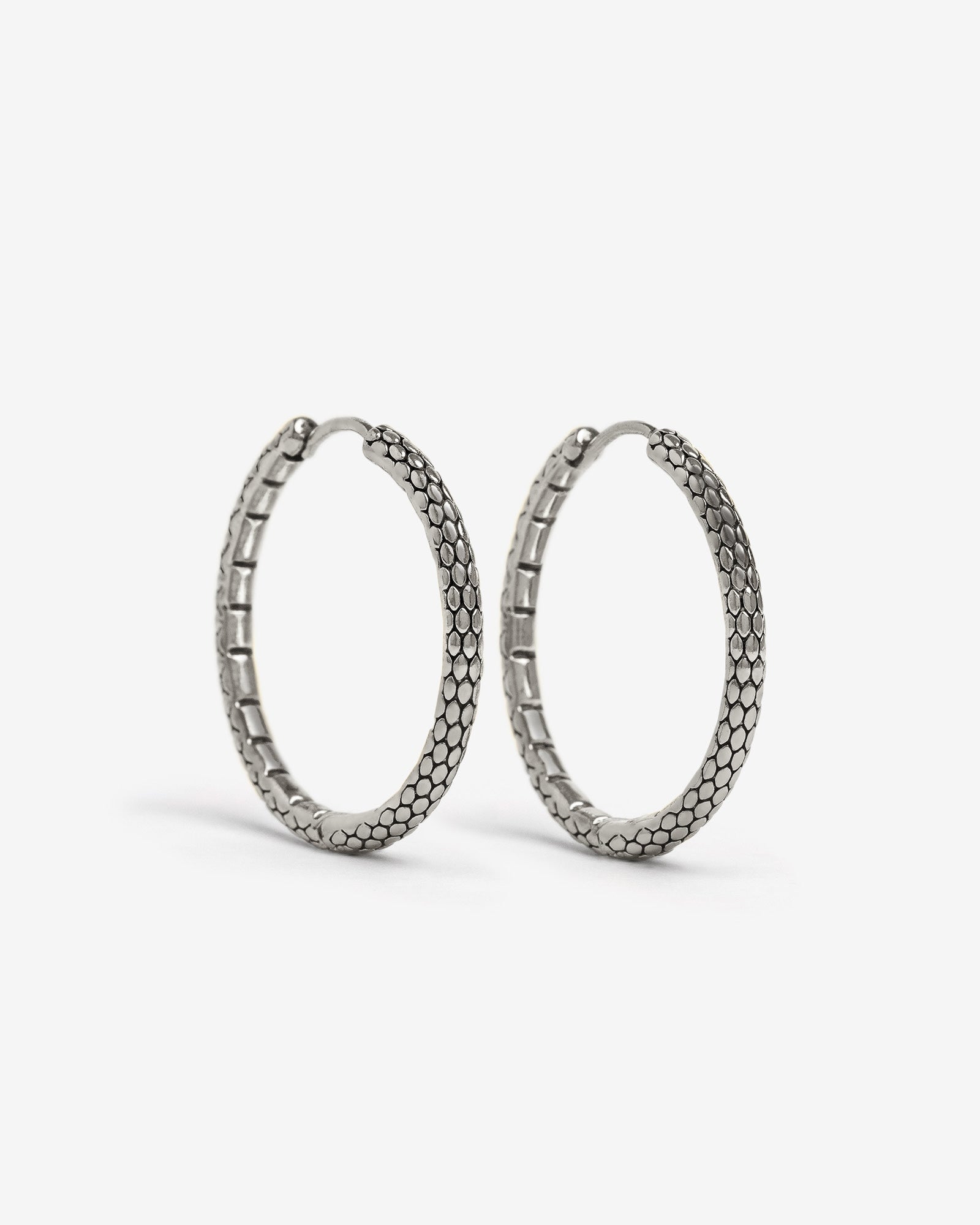 Serpent Hoop Earrings - Earrings - Ask and Embla